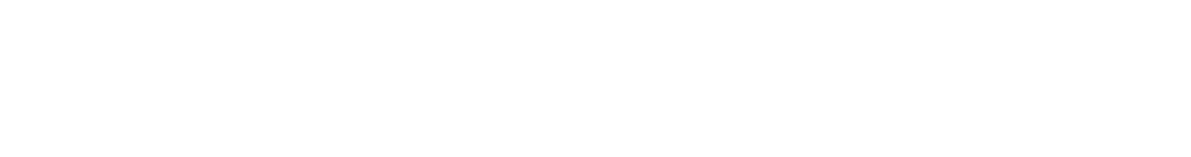 Una Experiencia Única